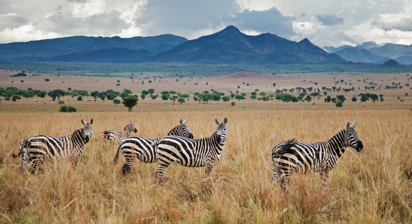 Top 10 Must-Visit Destinations in Uganda